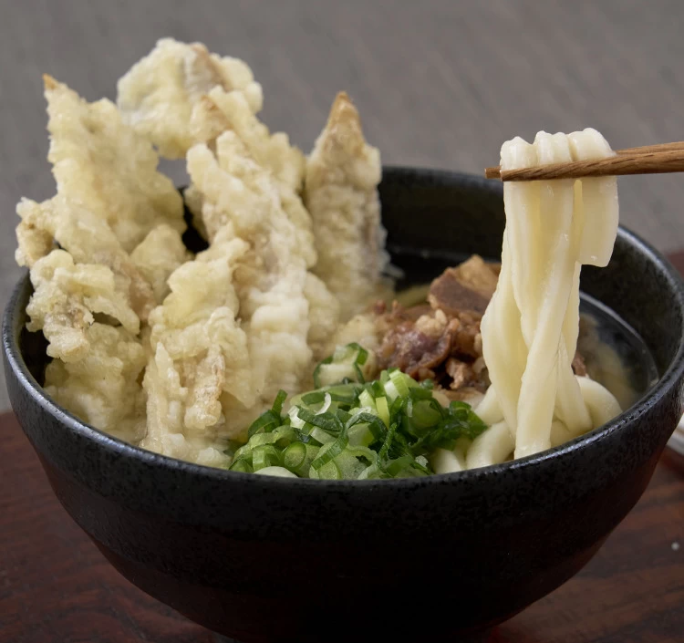 冷凍／肉・ごぼ天うどん5人前