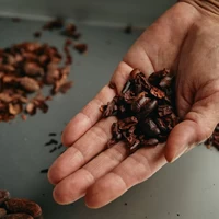 the BAR -Ghana- Dark Chocolate 70% サムネイル