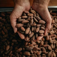 the BAR -Belize- Dark Chocolate 70% サムネイル
