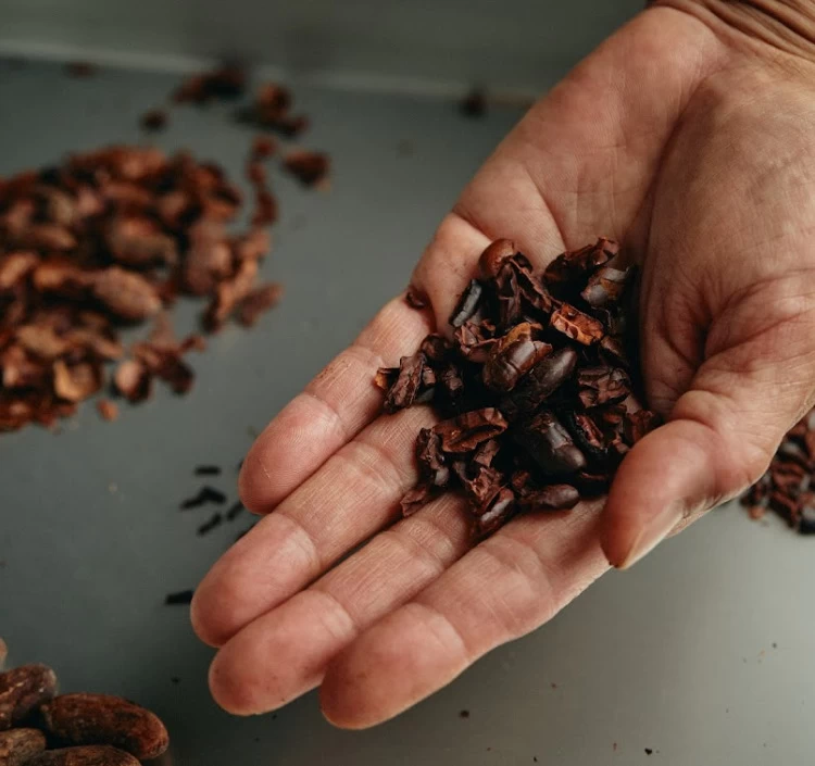 the BAR -Belize- Dark Chocolate 70%