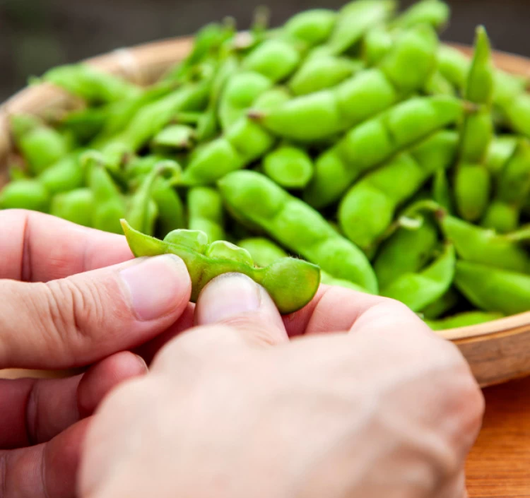 品種食べ比べセット