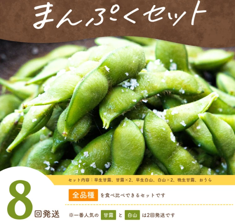 まんぷくセット