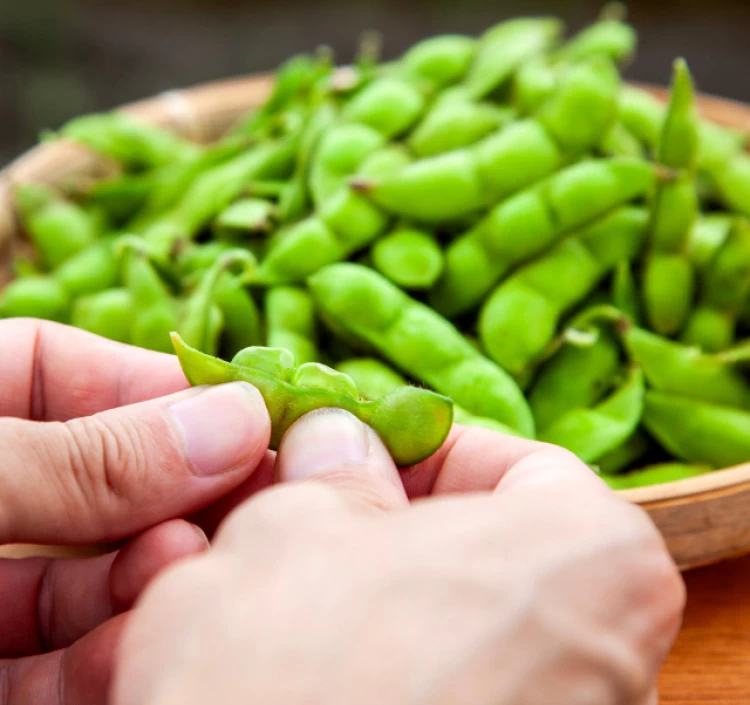 まんぷくセット