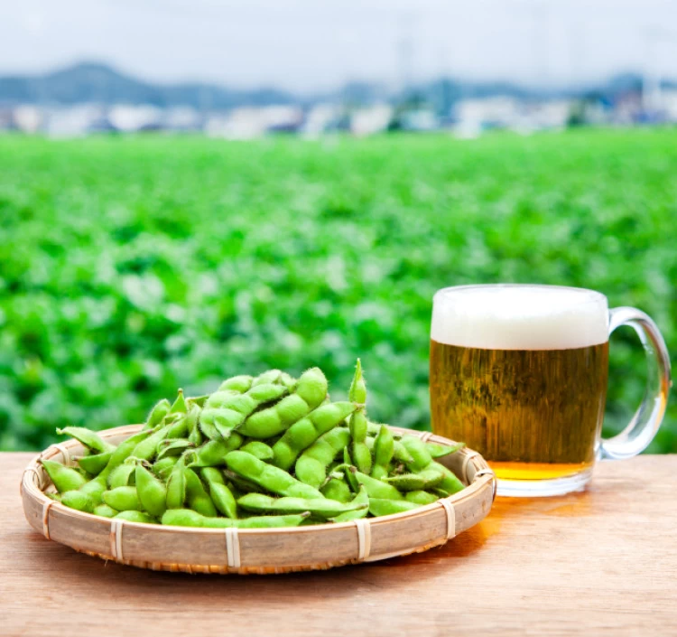 まんぷくセット