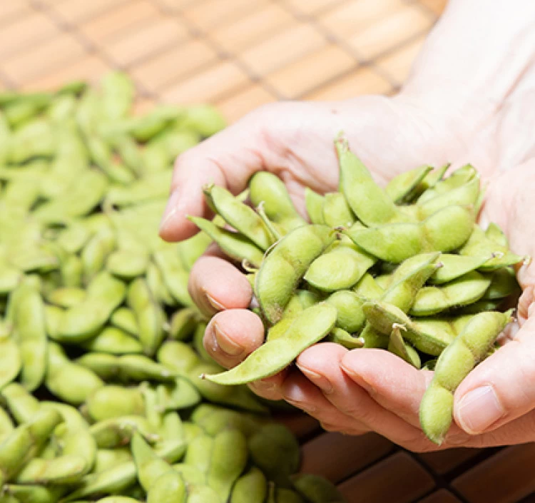 レンジで簡単！おつまみだだちゃ豆