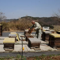 D 羽山養蜂 ギフト箱BOX（アカシア・百花蜜）各500g サムネイル