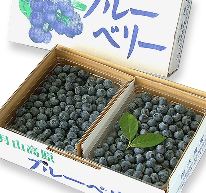 生食用ブルーベリー 500g入×2【Ｌサイズ】