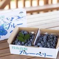 生食用ブルーベリー 500g入×2【Ｌサイズ】 サムネイル