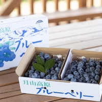 生食用ブルーベリー 500g入×2【Mサイズ】 サムネイル