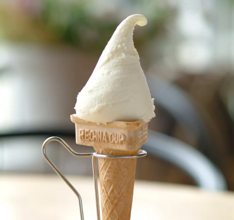 F-24セット（100ml×12個）×2個ずつ