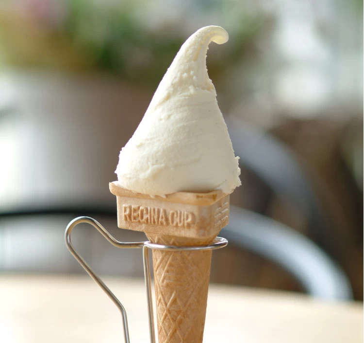 C-12セット（100ml×12個）