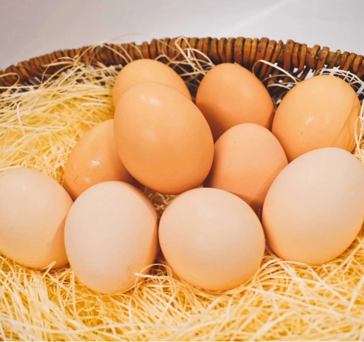 国内でたった６％しかいない純国産鶏『さくら』が生んだ卵を使用しています。