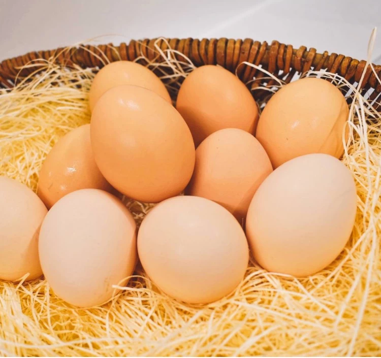 安心にこだわった有精卵