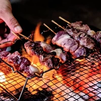 鳥取県産天然猪肉【串焼き用】15本セット サムネイル