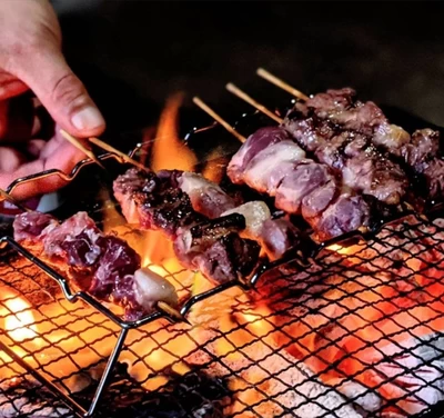 鳥取県産天然猪肉【串焼き用】10本セット
