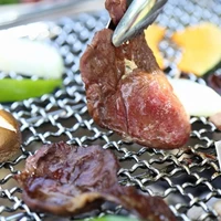 鳥取県産天然猪【焼肉・鍋用】ミックススライス500ｇ[冷凍・冷蔵] ¥2,300 サムネイル