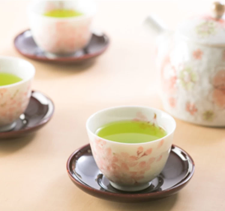 常盤　―ときわ―