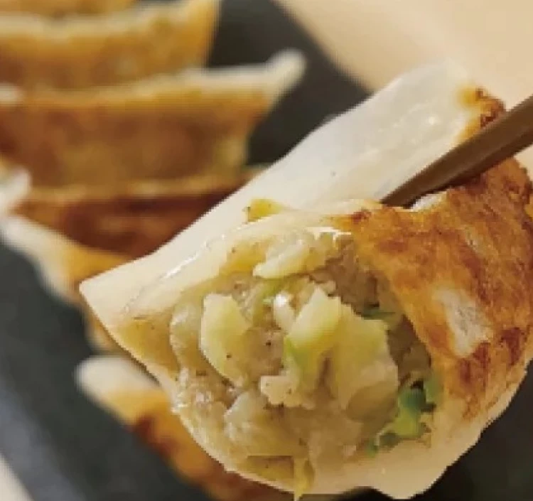 大地のちから 肉ぎょうざ