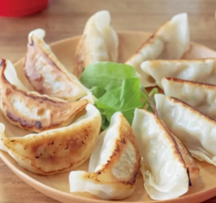 大地のちから 肉ぎょうざ