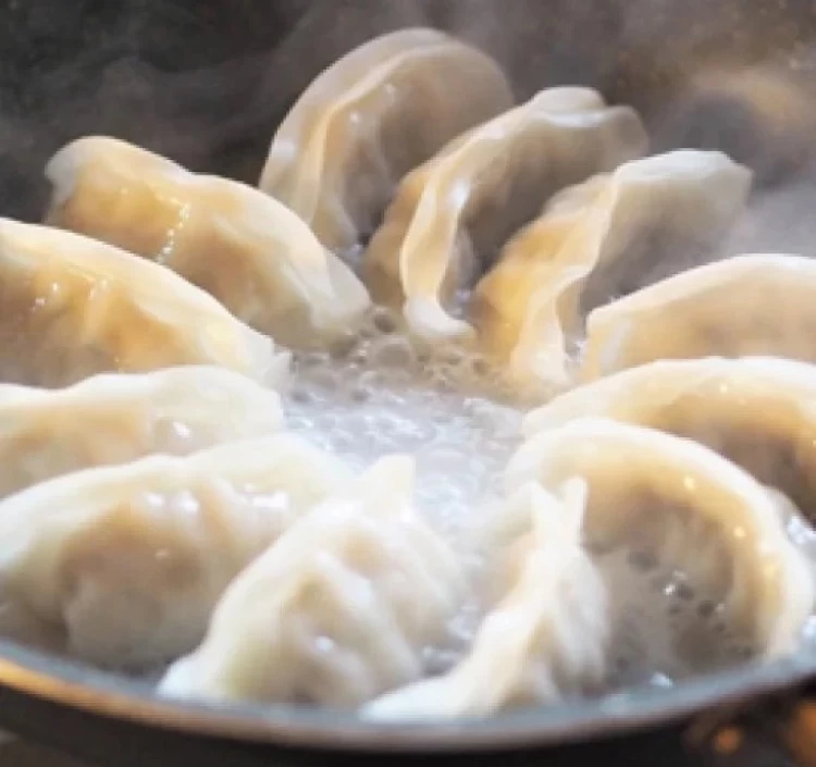 大地のちから 肉ぎょうざ