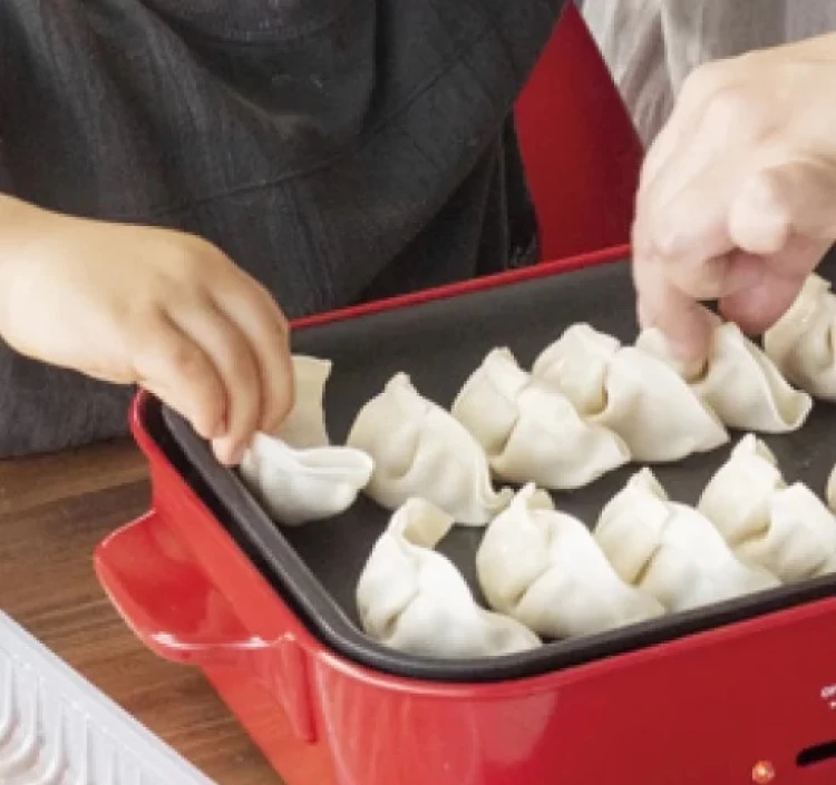 大地のちから 肉ぎょうざ