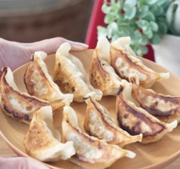 大地のめぐみ 野菜ぎょうざ