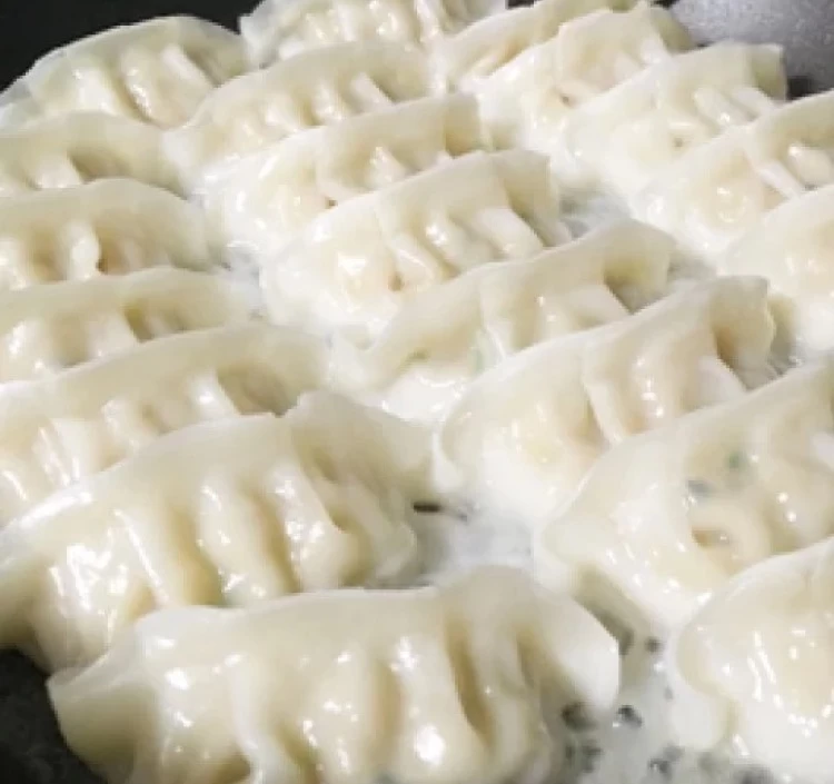 大地のめぐみ 野菜ぎょうざ