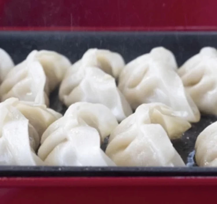 大地のめぐみ 野菜ぎょうざ