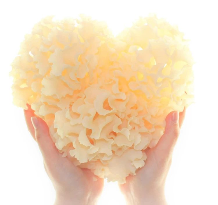 生鮮ハナビラタケ　400ｇ×2パック