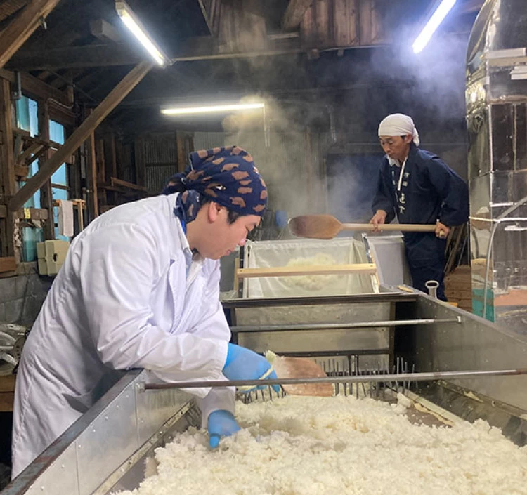 特別本醸造　立咲