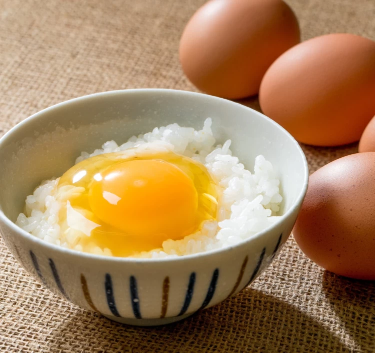 あしださんちのたまご（20個入）送料別