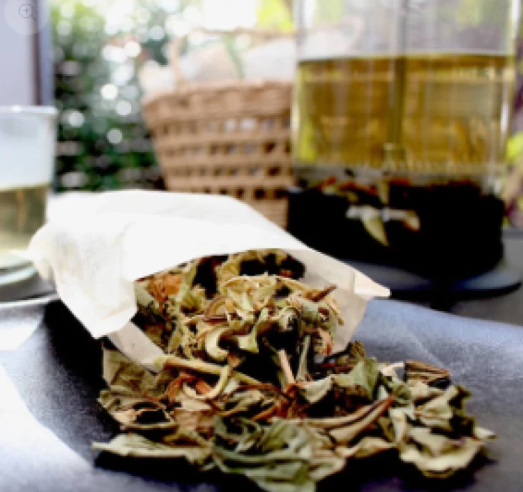 里山の野草茶セット