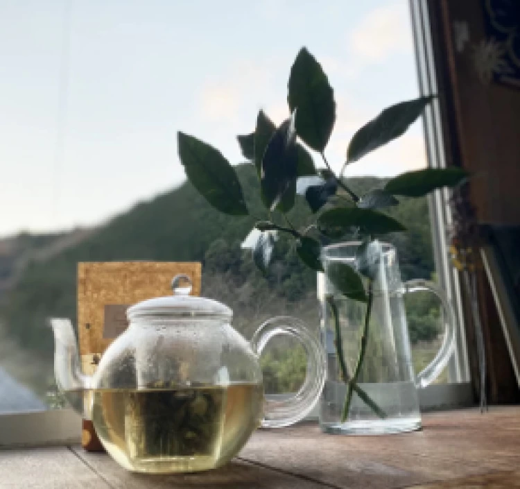 里山の野草茶セット