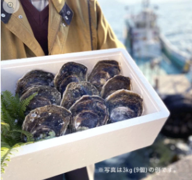 【送料込】青海島特産の新鮮「岩がき」（冷蔵）2kg～