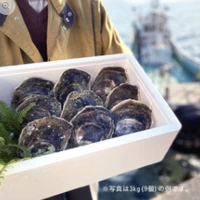 【送料込】青海島特産の新鮮「岩がき」（冷蔵）2kg～ サムネイル