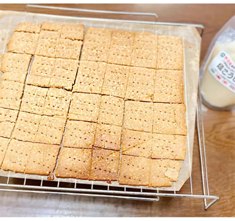 無添加生塩こうじ200g入り