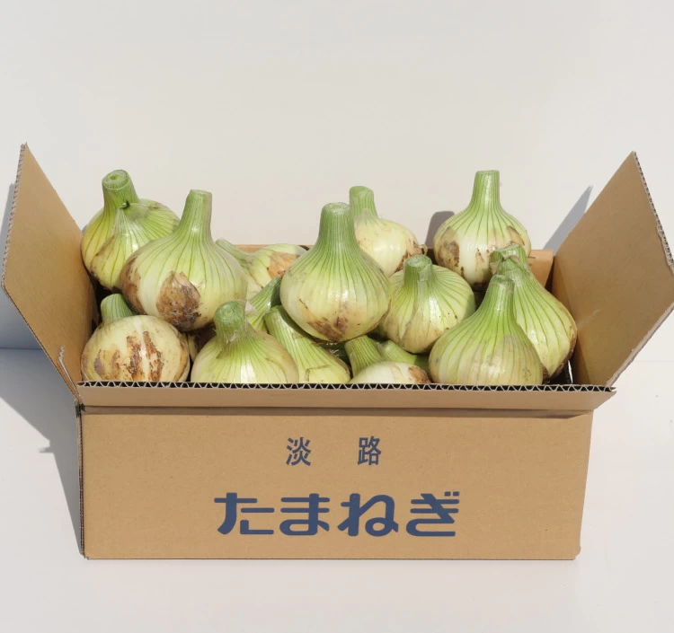 淡路島春の新玉ねぎ　５kg（送料無料）＞｜生鮮野菜をお取り寄せ・通販するなら【旅色】