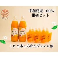 宇和島産100％柑橘セット（みかんジュース1Lx2本、みかんジュレ6個） サムネイル