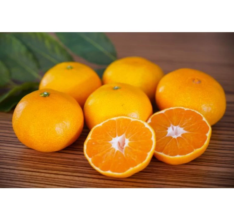 宇和島産100％柑橘セット（みかんジュース1Lx2本、みかんジュレ6個）