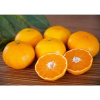 宇和島産100％柑橘セット（みかんジュース1Lx2本、みかんジュレ6個） サムネイル