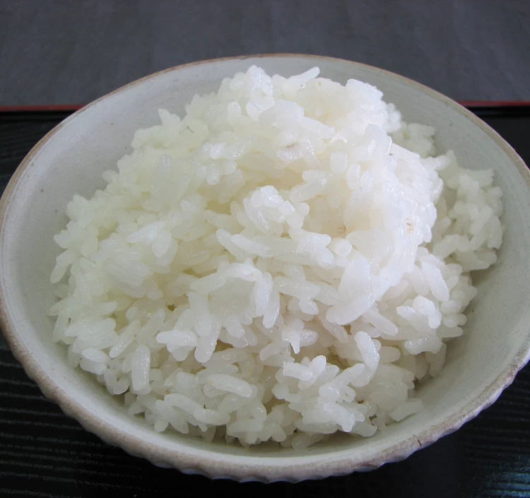 令和6年産　静岡県産にこまる　１０ｋｇ