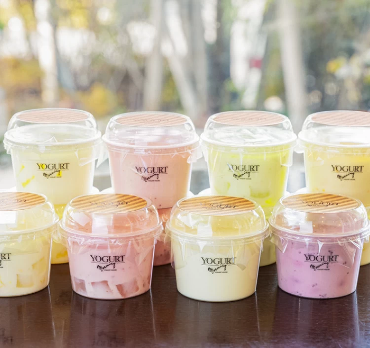 【OYA-8】オンラインショップ限定アソートヨーグルト8種類詰合せ