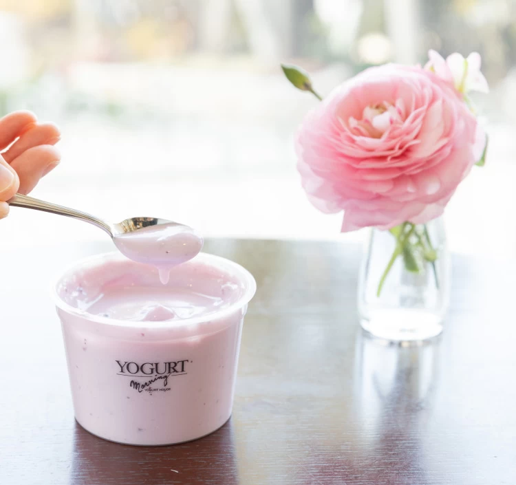 【OYA-8】オンラインショップ限定アソートヨーグルト8種類詰合せ