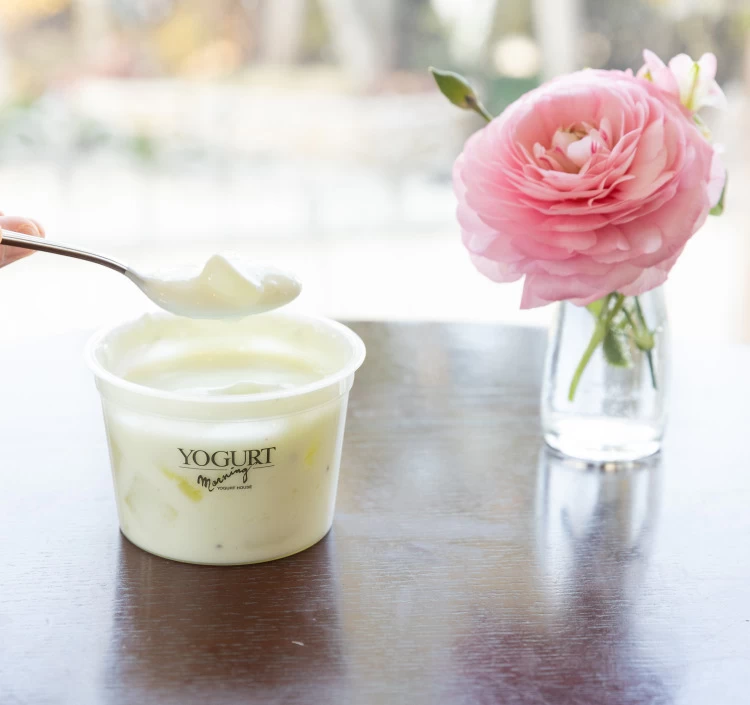 【OYA-8】オンラインショップ限定アソートヨーグルト8種類詰合せ