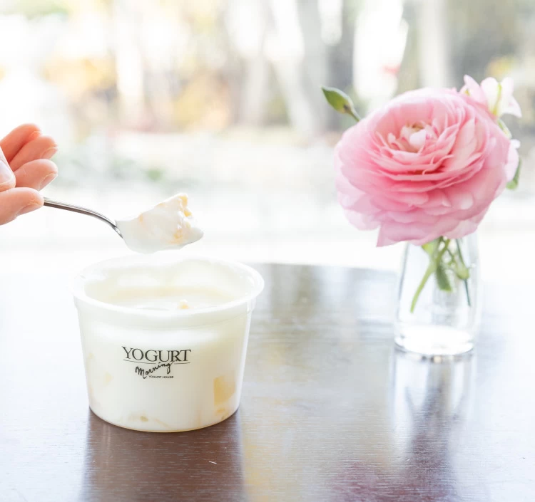 【OYA-8】オンラインショップ限定アソートヨーグルト8種類詰合せ