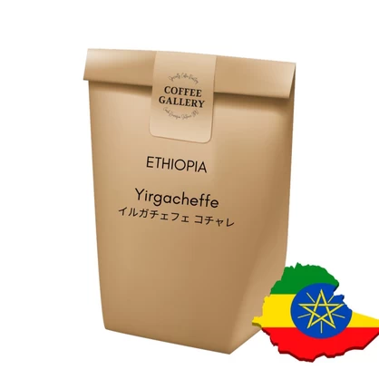 エチオピア　イルガチェフェ コチャレ　200g