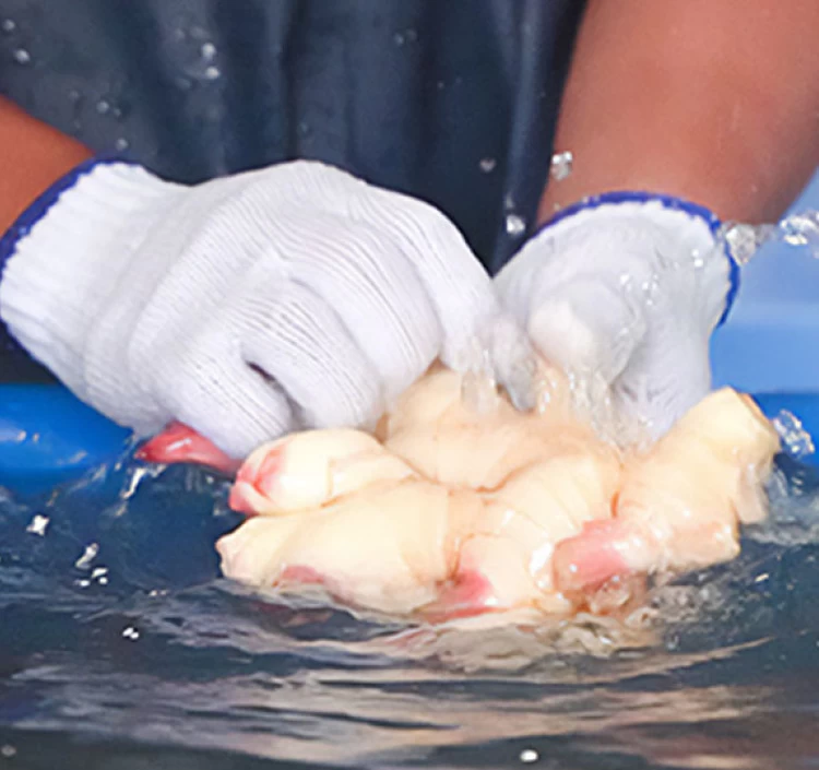 生姜農家が作る万能生姜ジャム200ｇ