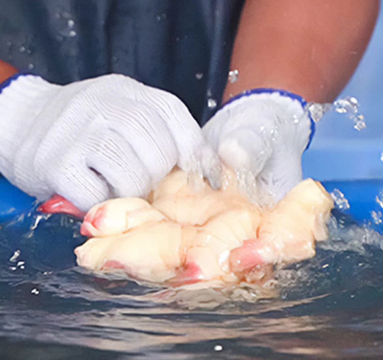 至高の生姜シロップ200ml