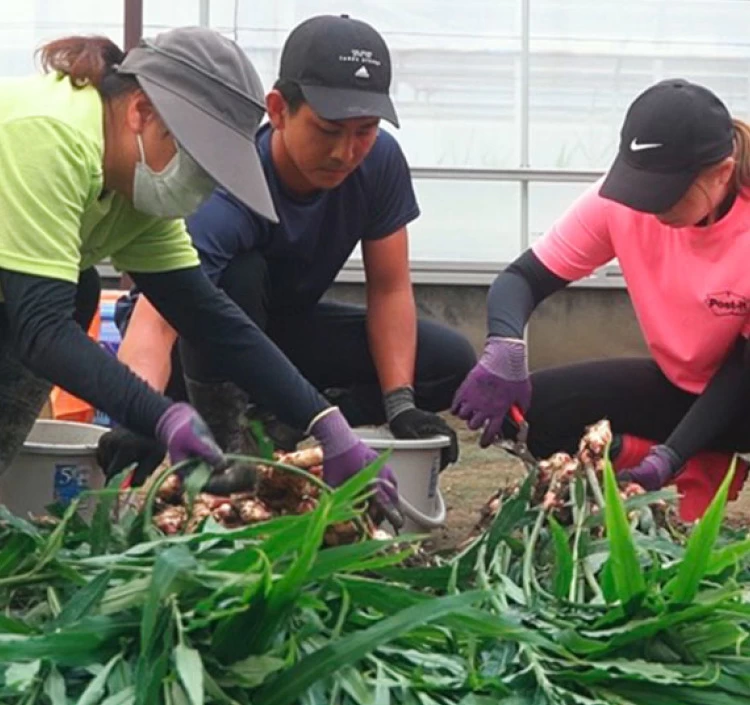 至高の生姜シロップ200ml