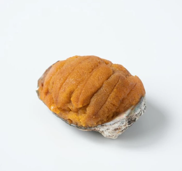 【冷凍】川秀の高級珍味 焼うに（限定 炭火焼き）